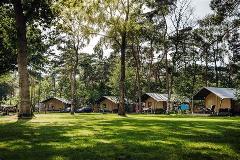 camping beringen|Camping Beringerzand